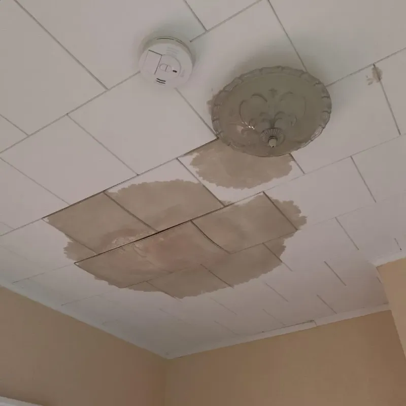 Ceiling Water Damage Repair in Warsaw, MO